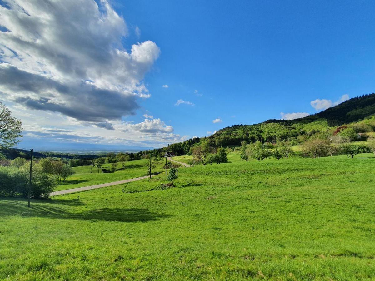 Ferienwohnung Am Musbach In Badenweiler-Sehringen Bagian luar foto